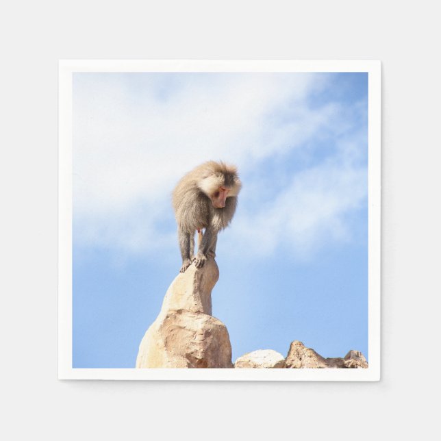 Baboonapan ovanpå berget pappersservett (Framsidan)