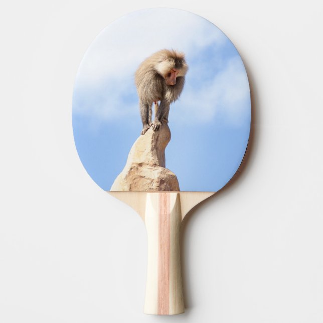 Baboonapan ovanpå berget pingisracket (Framsidan)
