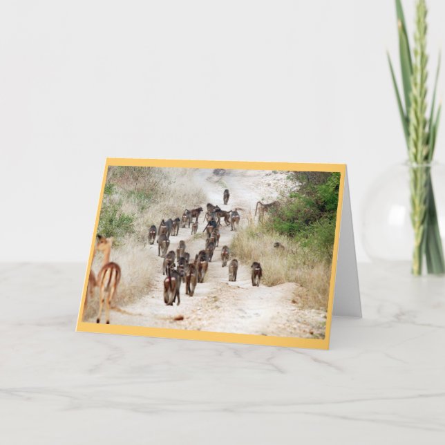 Baboonrusningstid Kort (Framsida)