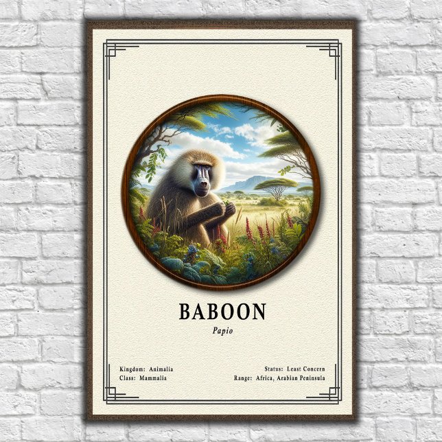 Baboons Zoologi Serie Poster (Skapare uppladdad)