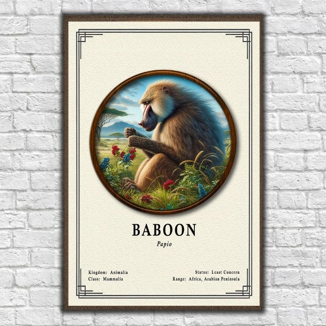 Baboons zoologisk serie poster (Skapare uppladdad)