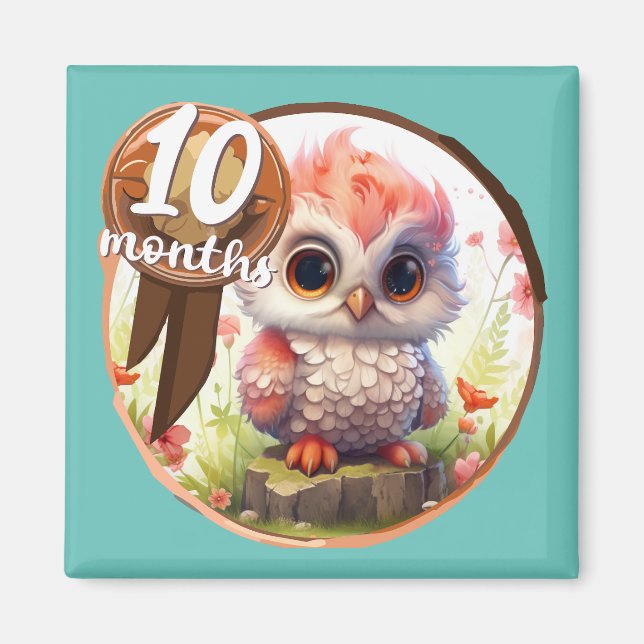 Baby - 10 months too magnet (Framsidan)