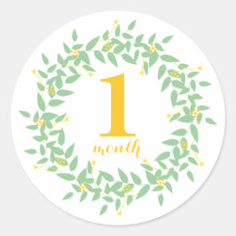 Baby 1 månads klassisk rund etikett, blank runt klistermärke