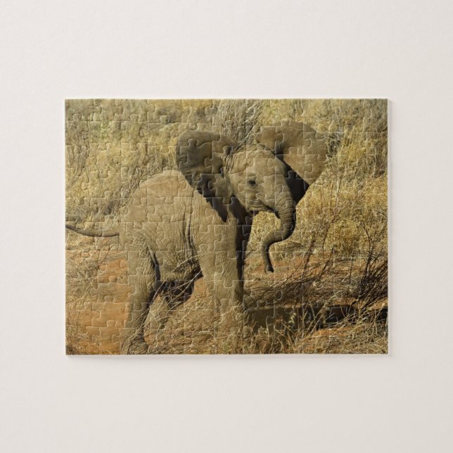 Baby African Elephant, Loxodonta Africana Pussel (Horisontell)