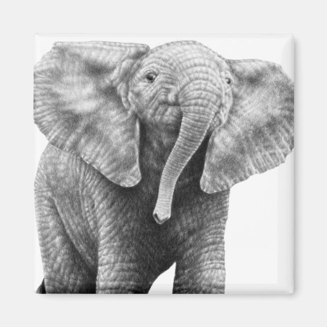 Baby African Elephant Magnet (Framsidan)