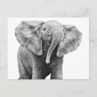 Baby African Elephant-vykort Vykort