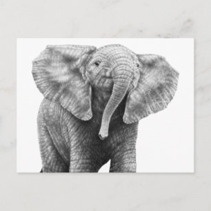 Baby African Elephant-vykort Vykort