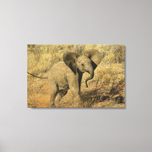 Baby Afrikansk Elefant, Loxodonta Africana, Canvastryck
