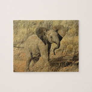 Baby Afrikansk Elefant, Loxodonta Africana, Pussel