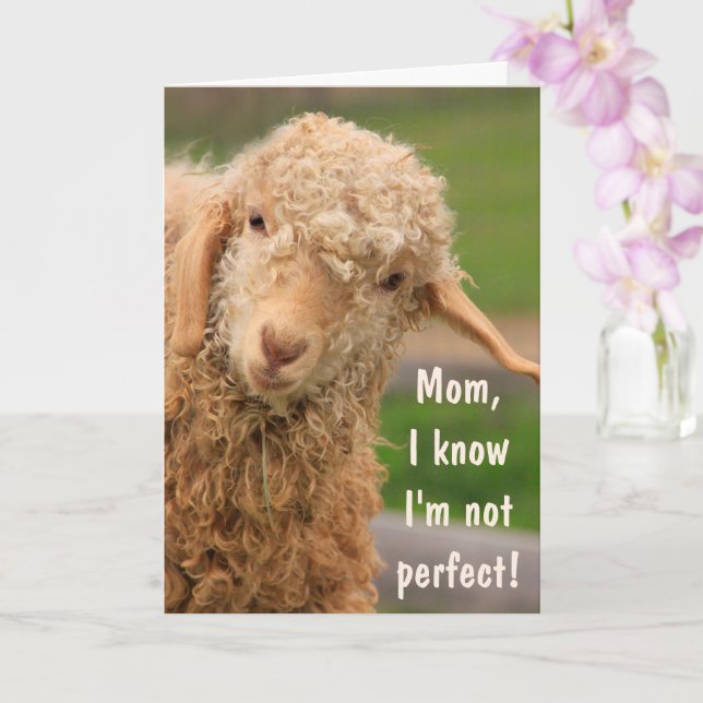 Baby Angora Goat Mors dag Kort (Orkide)