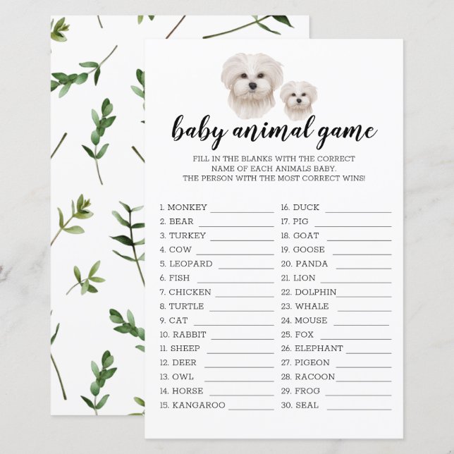 Baby Animal Game Vit malteser hund akvarell (Fram/baksida)