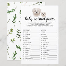 Baby Animal Game Vit malteser hund akvarell