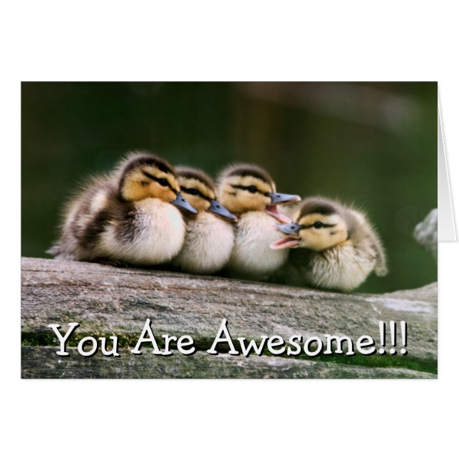 Baby Anka Hälsningskort (Framsidan Horizontal)