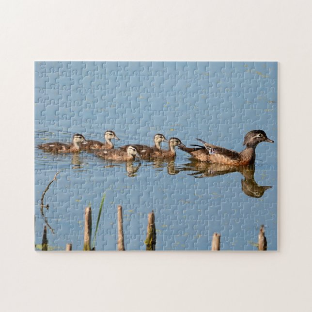 Baby Anka i rad efter Mamma Jigszle Puzzle Pussel (Horisontell)