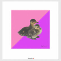 Baby Anka om Rosa hallon och Lila Sorbet