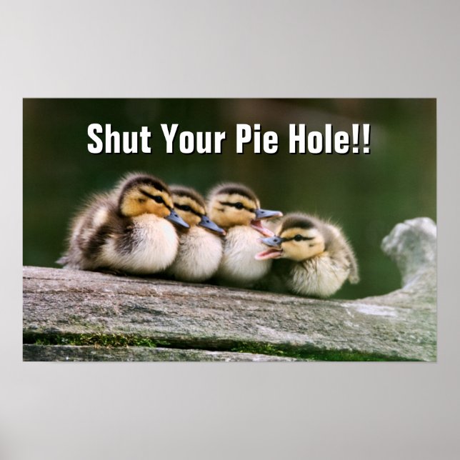 Baby Anka Poster (Framsidan)