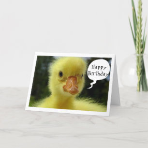 BABY ANKA SÄGER ATT DIN BIRTHDAY ÄR BARA DUCK KORT