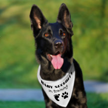 Baby Announcement Pet Bandana