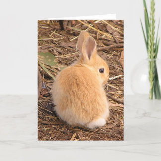 Baby är söt! helgkort