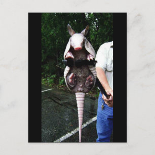 Baby Armadillo i A Klo Vykort