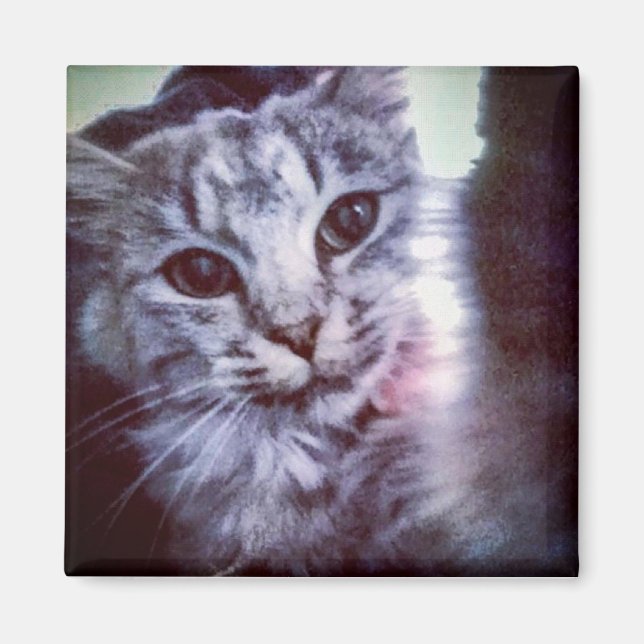 Baby Artemis Magnet (Framsidan)