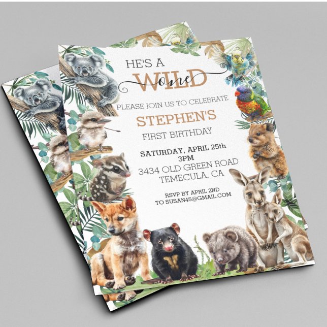 Baby Australian Animal Vild En födelsedag Kangaroo (Skapare uppladdad)