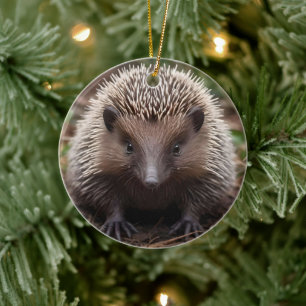 Baby Australian Echidna Julgransprydnad Keramik