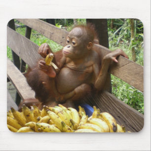 Baby bananpicknick musmatta