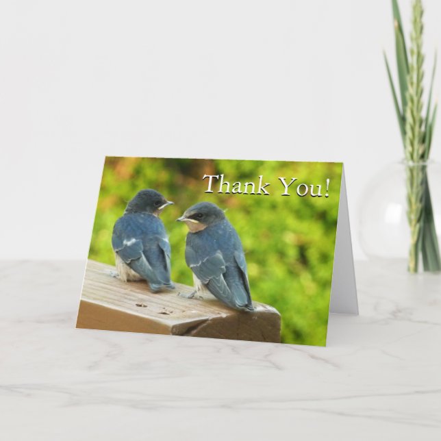 Baby Barn Sväljer Natur Tack Kort (Framsida)