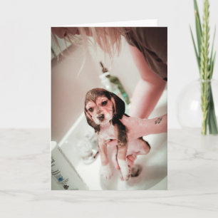 Baby Beagle Bathtime Kort