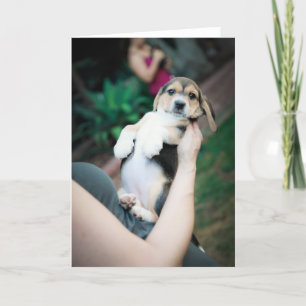 Baby Beagle Belly Kort