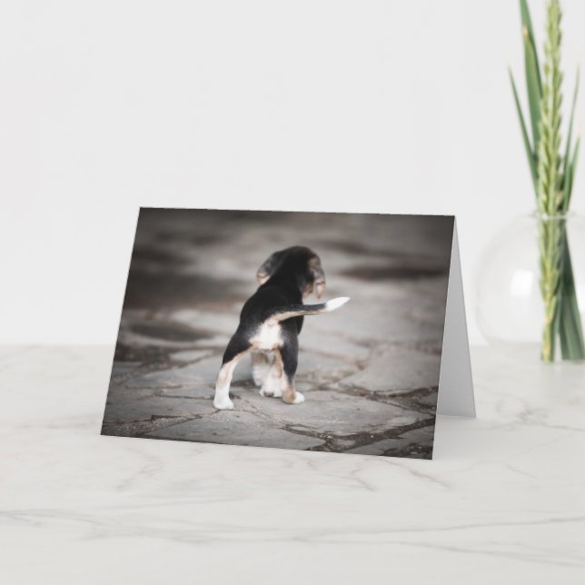 Baby Beagle Grund Kort (Framsida)