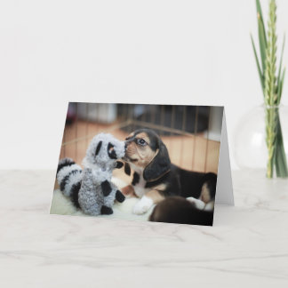 Baby Beagle och hennes nya Leksak Kort