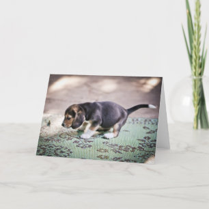 Baby Beagle och Löv Kort