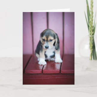 Baby Beagle om Röda stolen Kort
