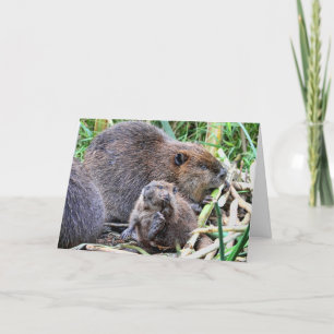 Baby Beaver och Family Photo Kort