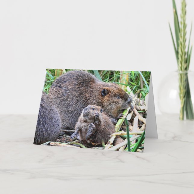 Baby Beaver och Family Photo Kort (Framsida)