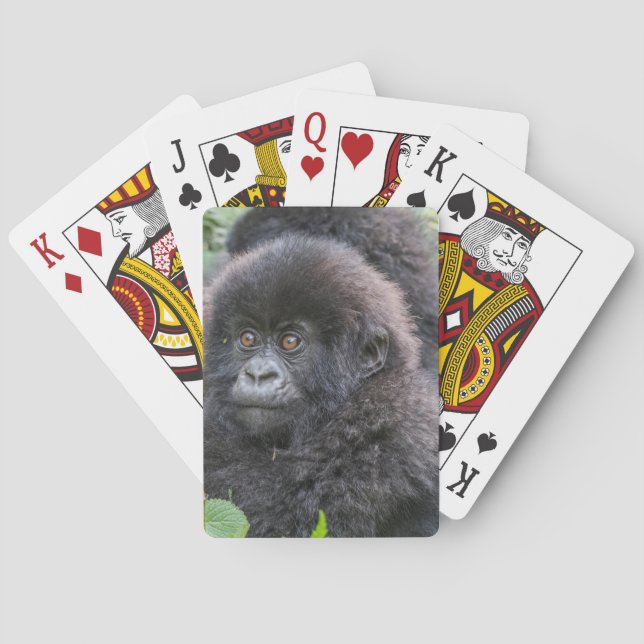 Baby bergsgorilla casinokort (Baksidan)