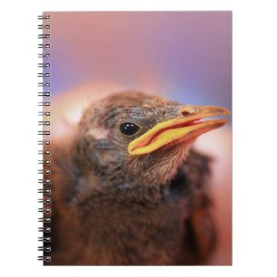 Baby Bird Anteckningsbok