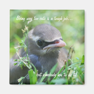 Baby Bird for Cute Funny Natur Magnet