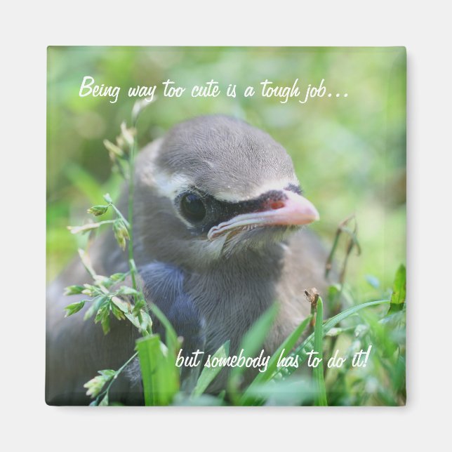 Baby Bird for Cute Funny Natur Magnet (Framsidan)