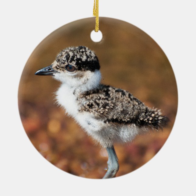 Baby Bird Julgransprydnad Keramik (Baksidan)