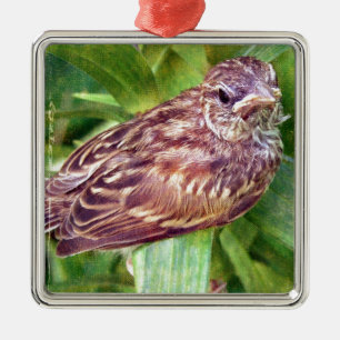 Baby Bird Julgransprydnad Metall