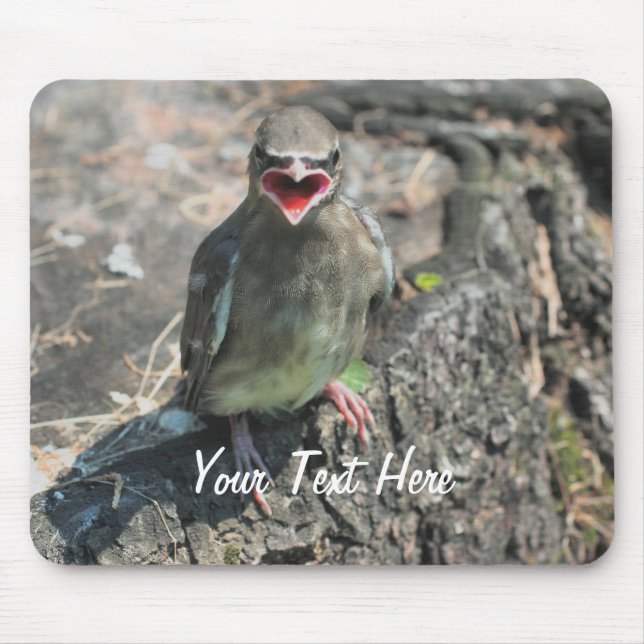 Baby Bird Nature Photography Mousepad Musmatta (Framsidan)