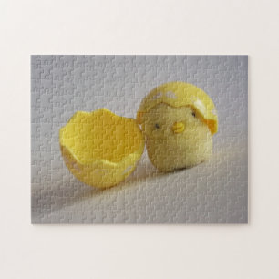 Baby Bird Puzzle Pussel