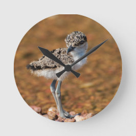 Baby Bird Rund Klocka