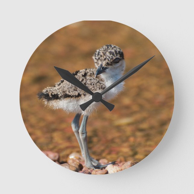 Baby Bird Rund Klocka (Framsida)
