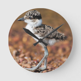 Baby Bird Rund Klocka
