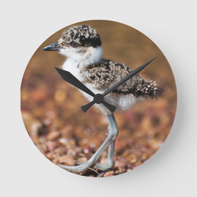 Baby Bird Rund Klocka (Framsida)