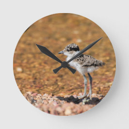 Baby Bird Rund Klocka